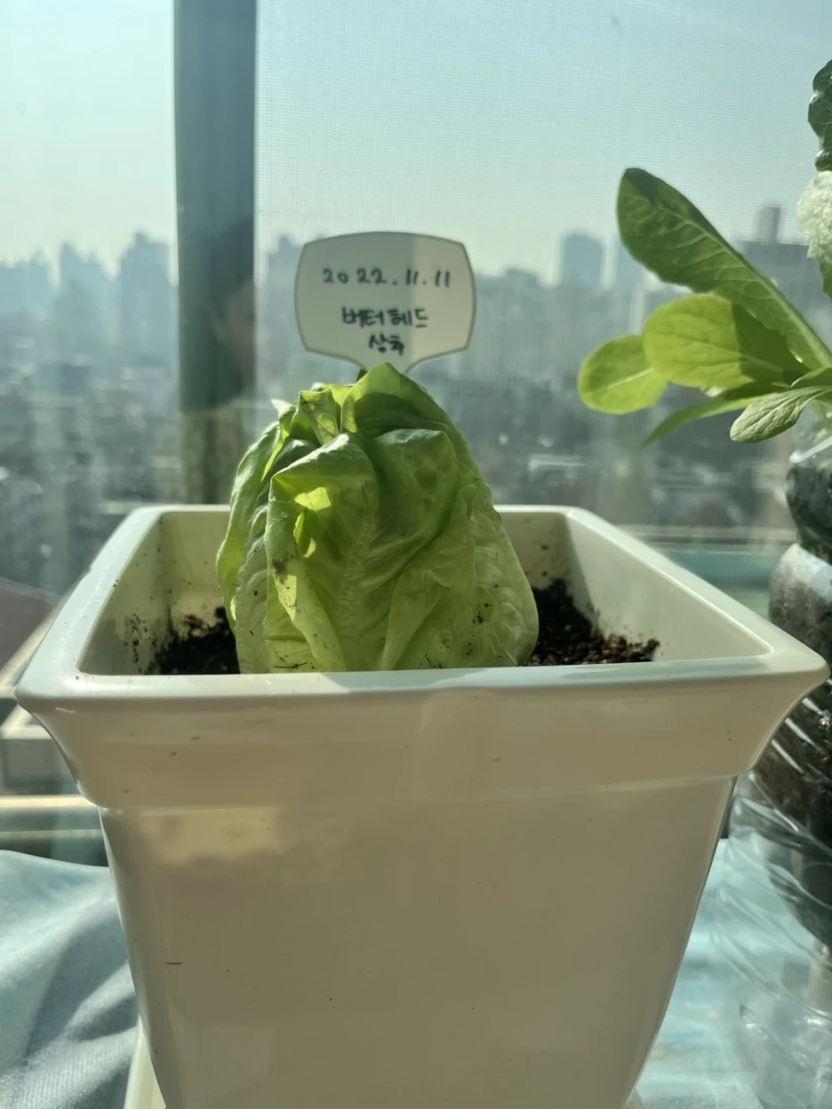 KakaoTalk_20221211_191945343.jpg?type=w1