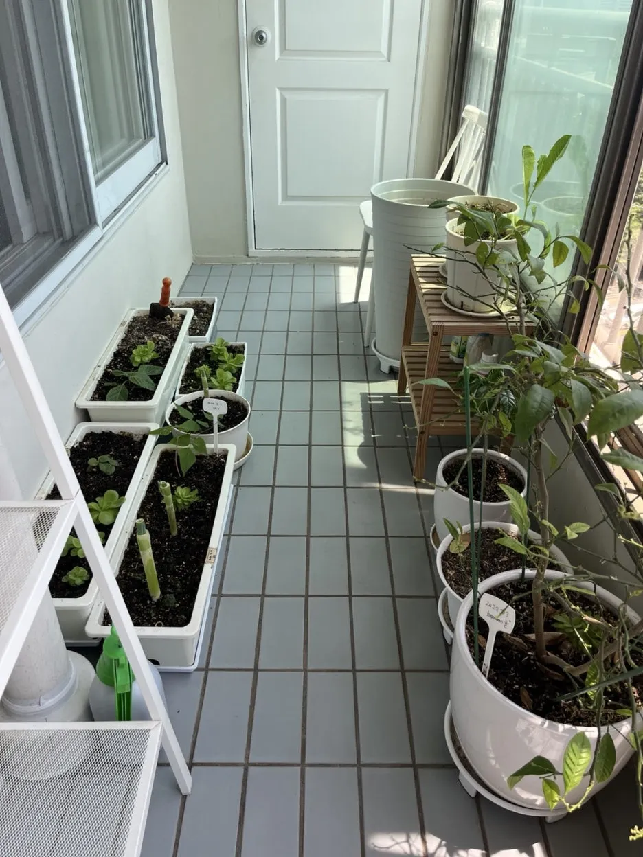 KakaoTalk_20250611_184440877_01.jpg?type=w1