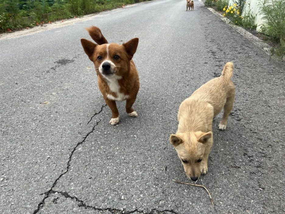 KakaoTalk_20240802_093519909_22.jpg?type=w1