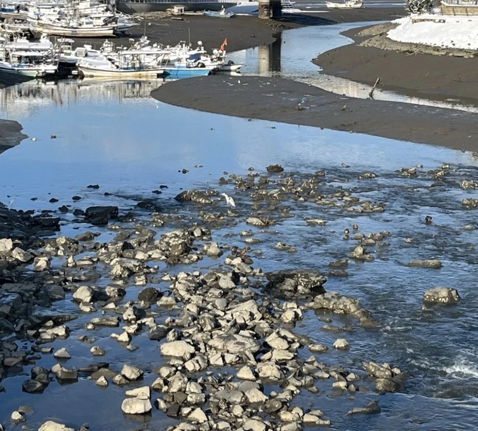 KakaoTalk_20231223_134559963_07.jpg?type=w1