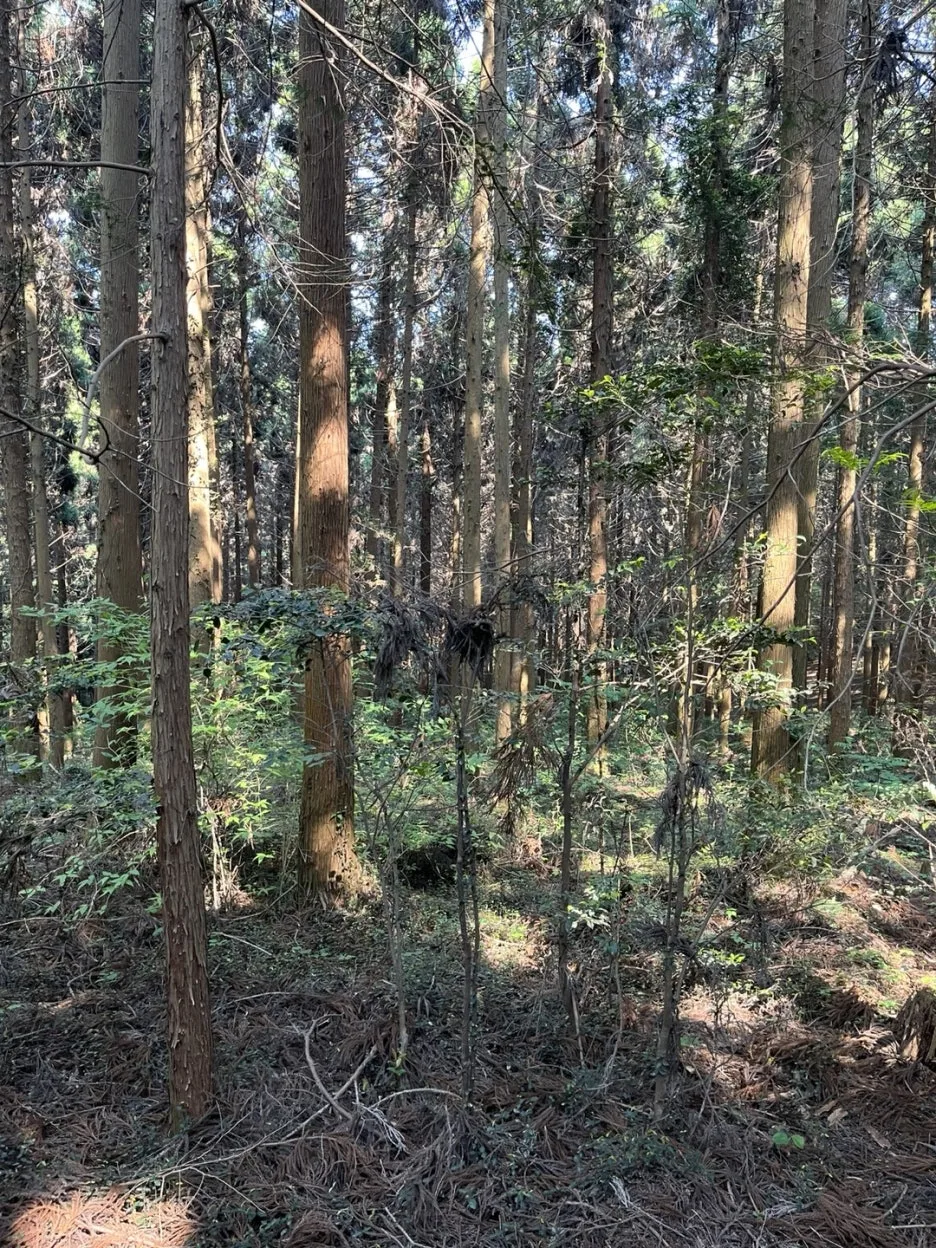 KakaoTalk_20250525_222215968_10.jpg?type=w1