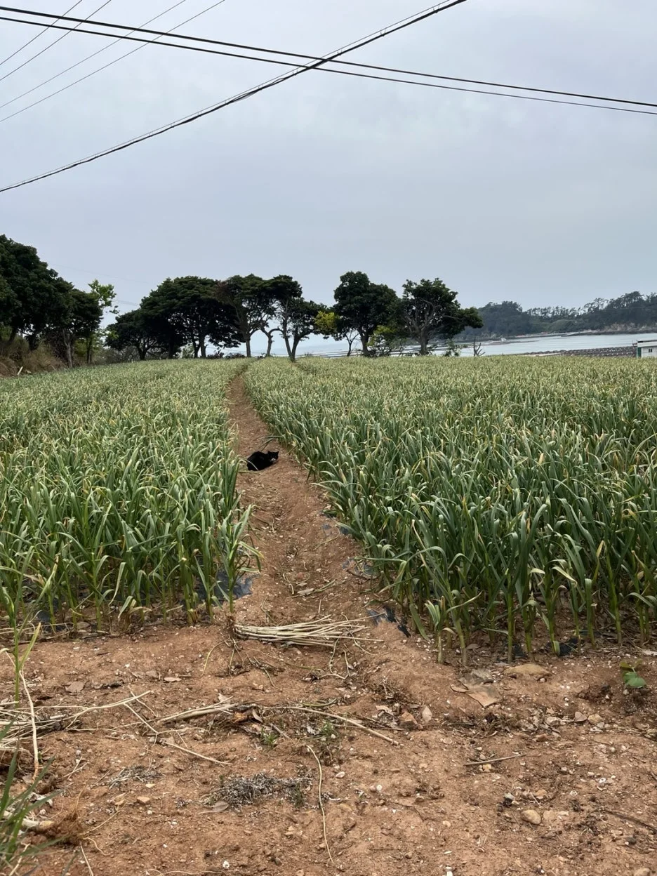 KakaoTalk_20250508_192942645_03.jpg?type=w1