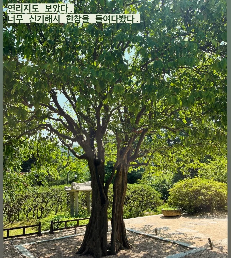 KakaoTalk_20240613_230149175_06.jpg?type=w1