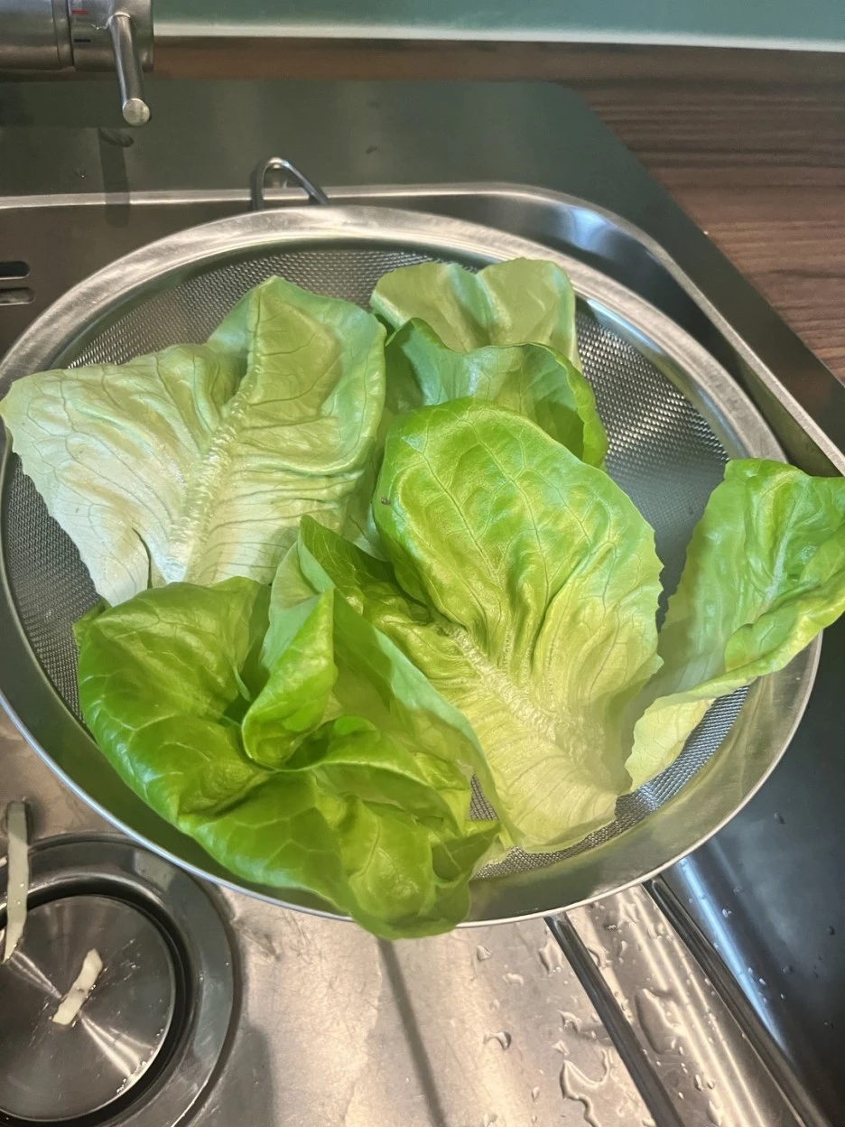 KakaoTalk_20221211_190404368.jpg?type=w1