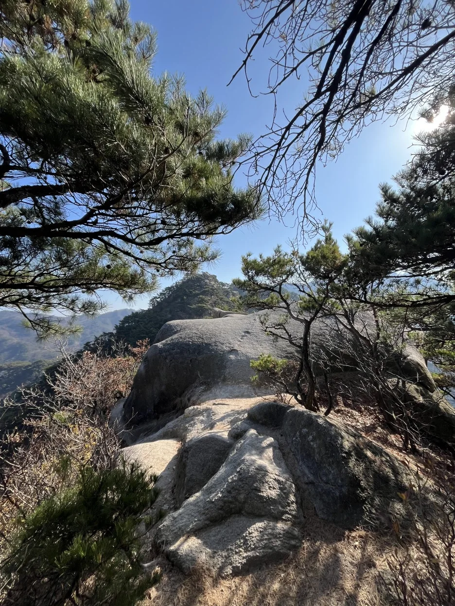 KakaoTalk_20251116_215720415_07.jpg?type=w1