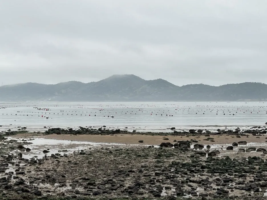 KakaoTalk_20250515_211804850_10.jpg?type=w1