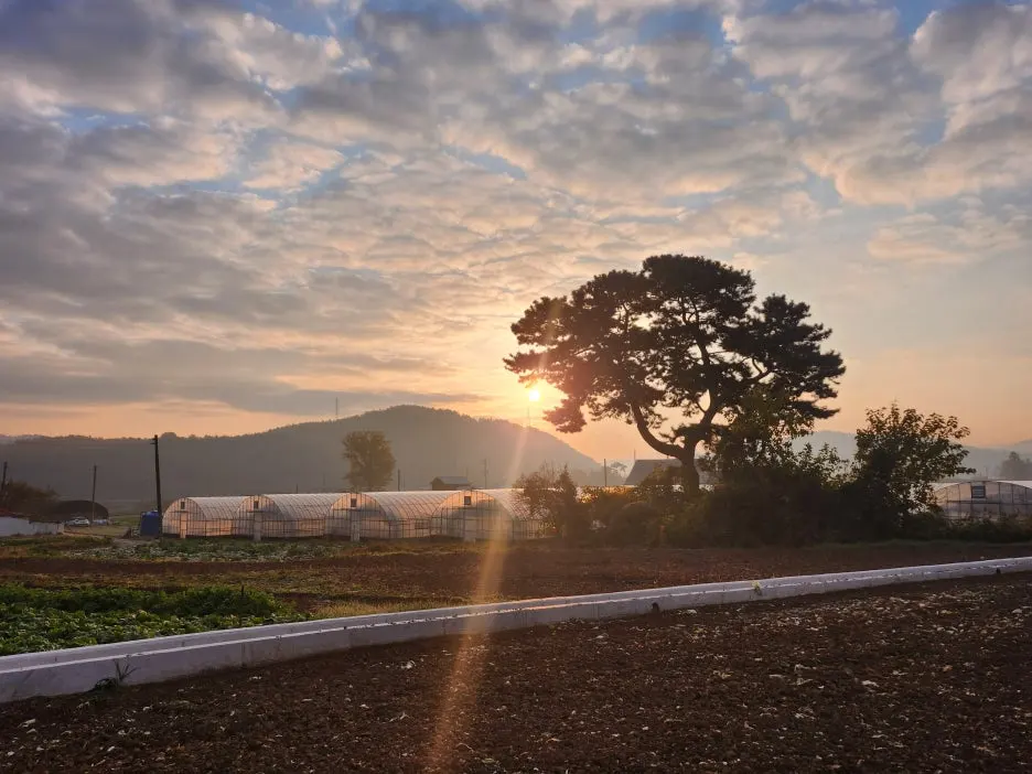 KakaoTalk_20251120_114853353_01.jpg?type=w1