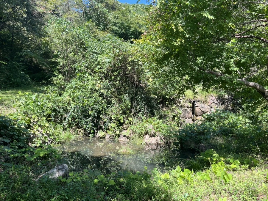 IMG_6744.jpg?type=w1