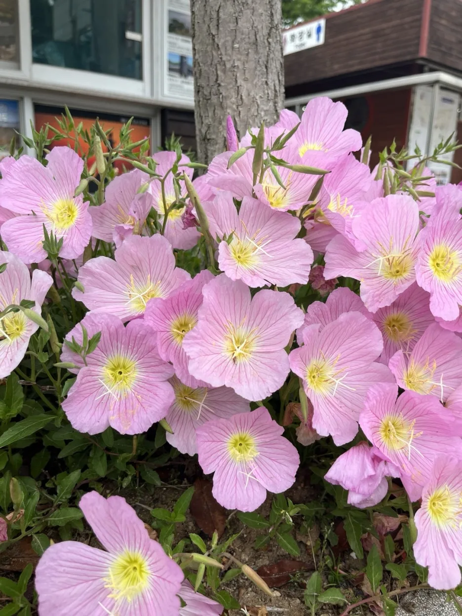 KakaoTalk_20250515_211804850_04.jpg?type=w1