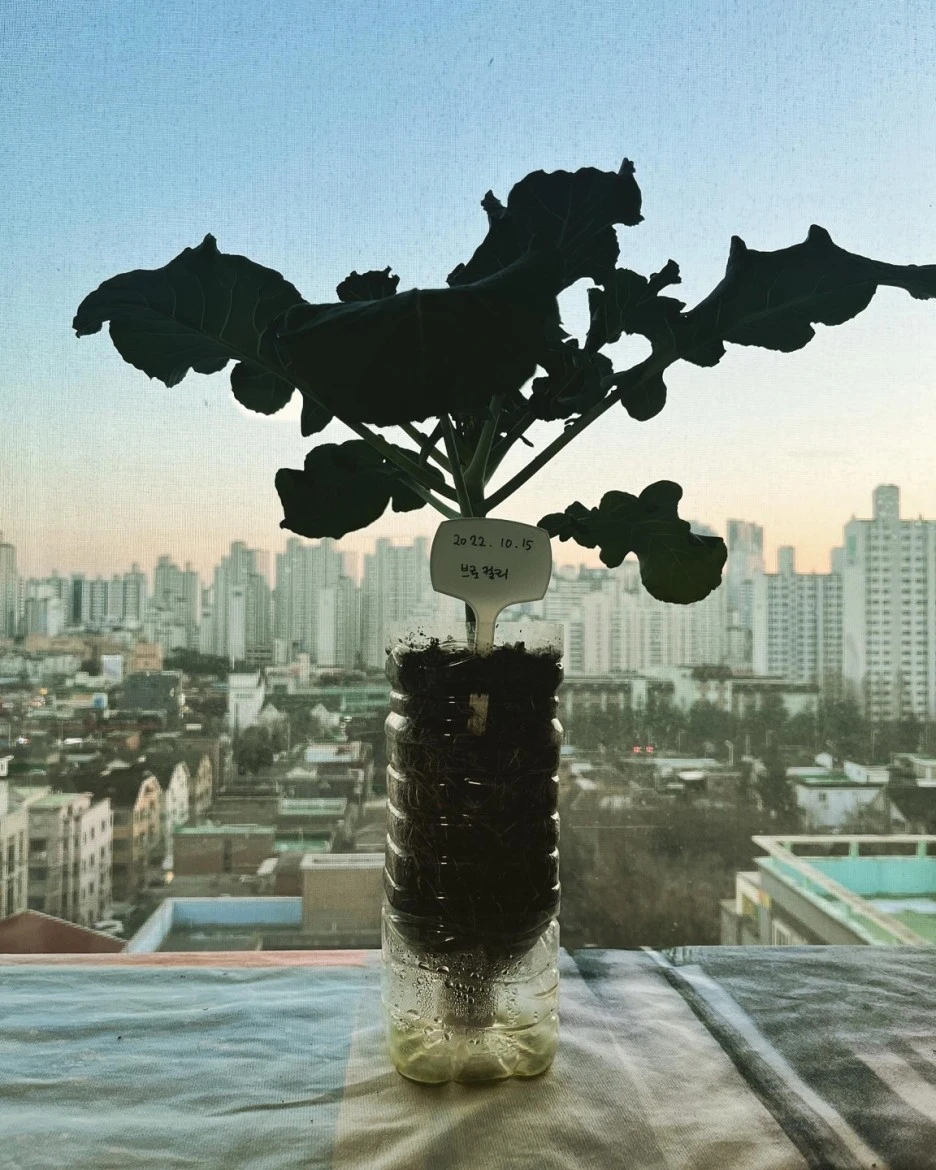 KakaoTalk_20230109_191155461.jpg?type=w1