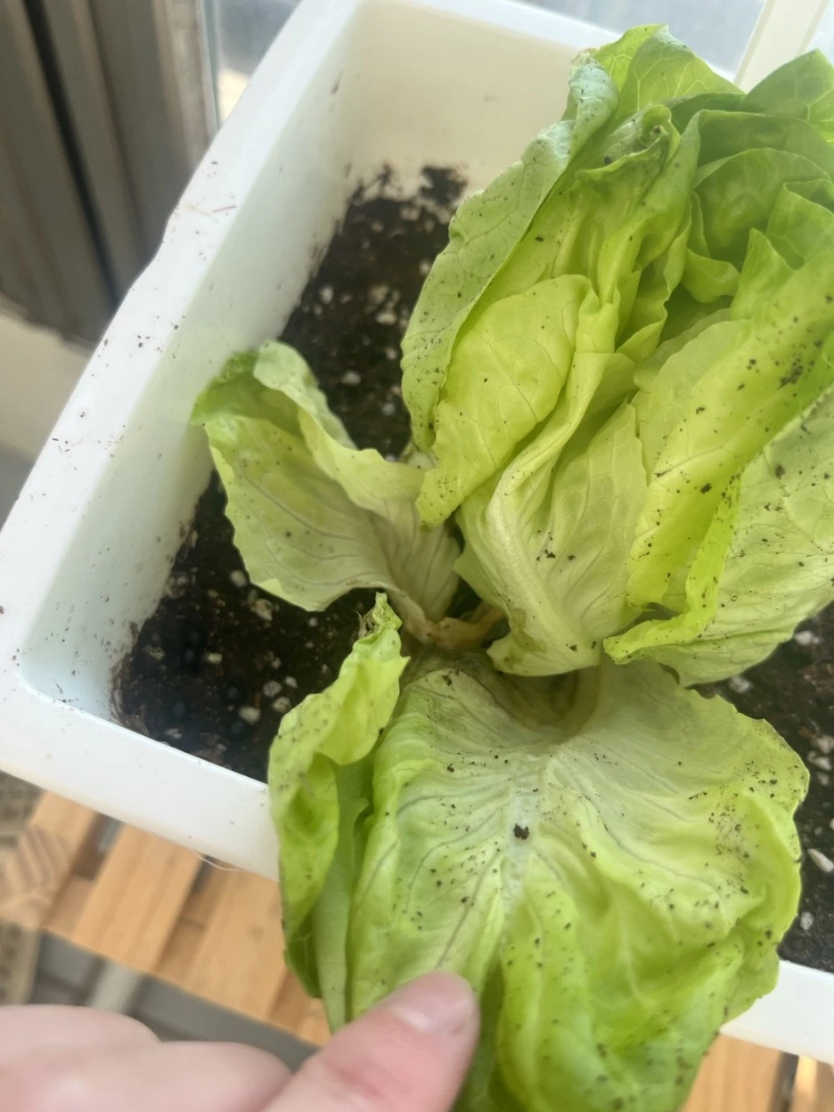 KakaoTalk_20221211_190406109.jpg?type=w1