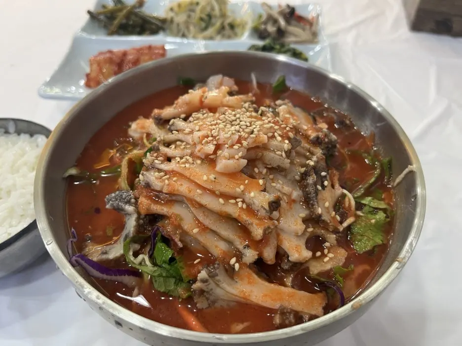 KakaoTalk_20250508_192838489_08.jpg?type=w1