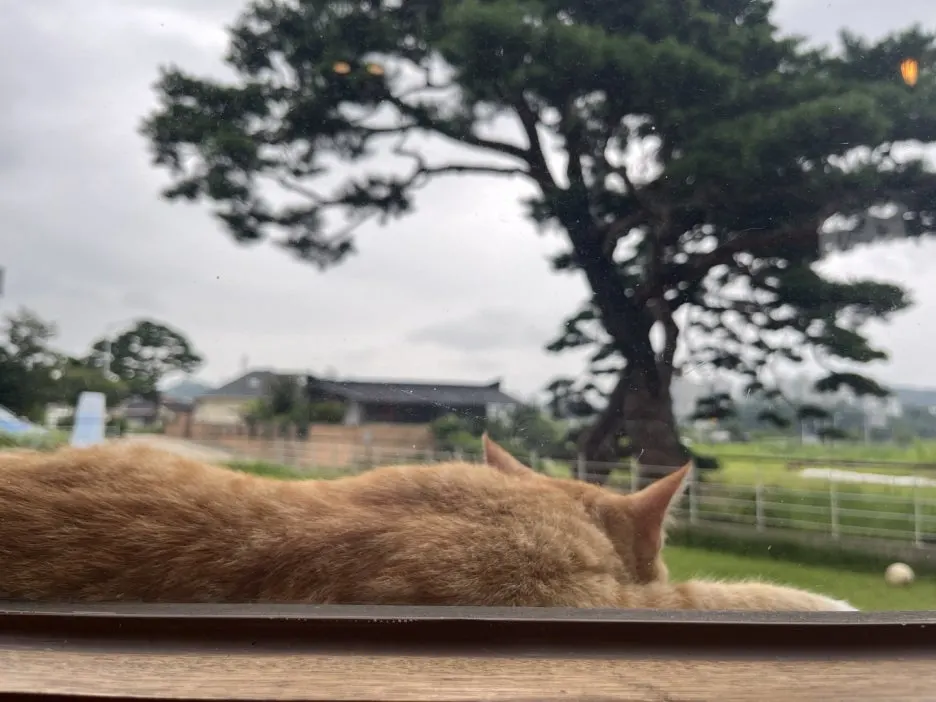 KakaoTalk_20240802_093519909_16.jpg?type=w1