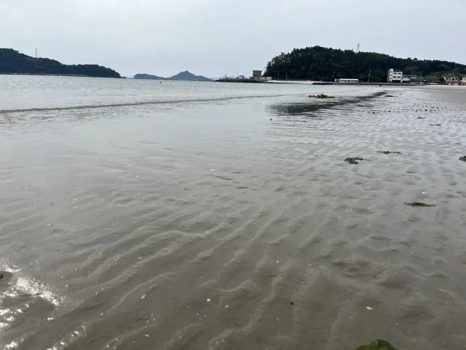 KakaoTalk_20250508_192838489_26.jpg?type=w1