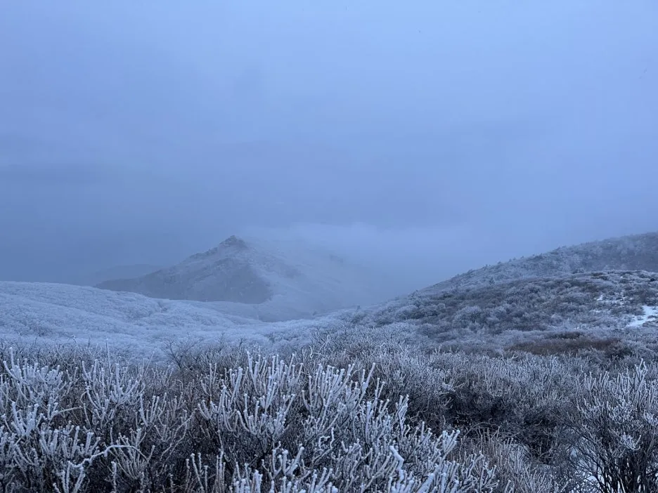 KakaoTalk_20250306_220304069.jpg?type=w1