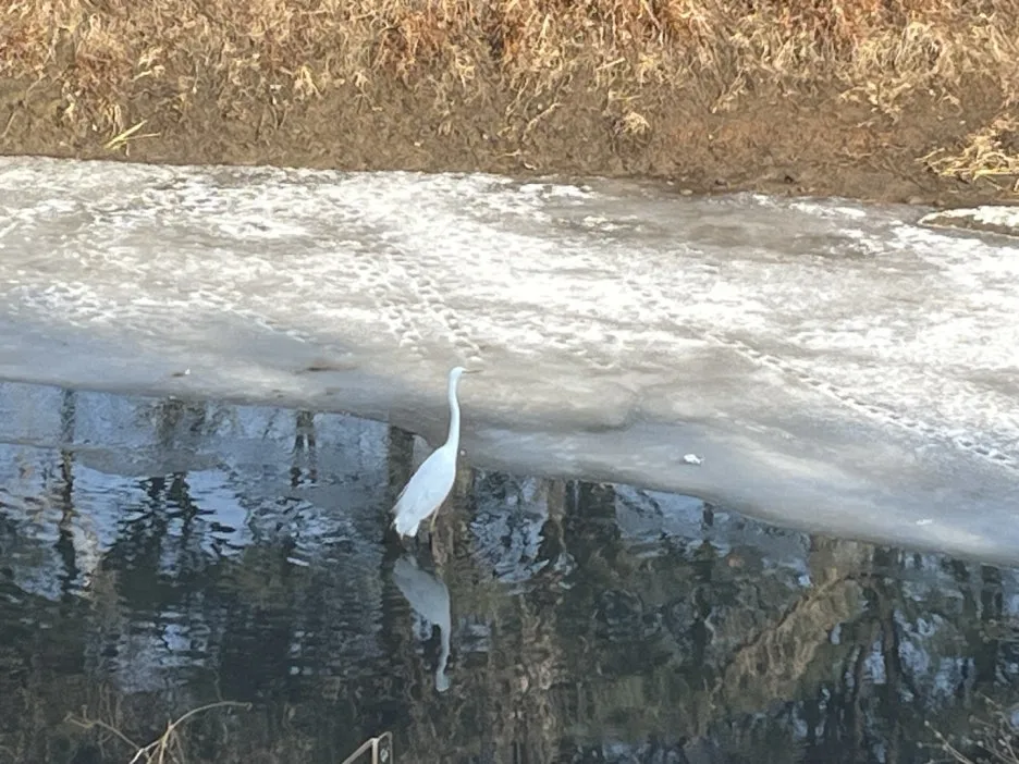 KakaoTalk_20250211_111644129.jpg?type=w1