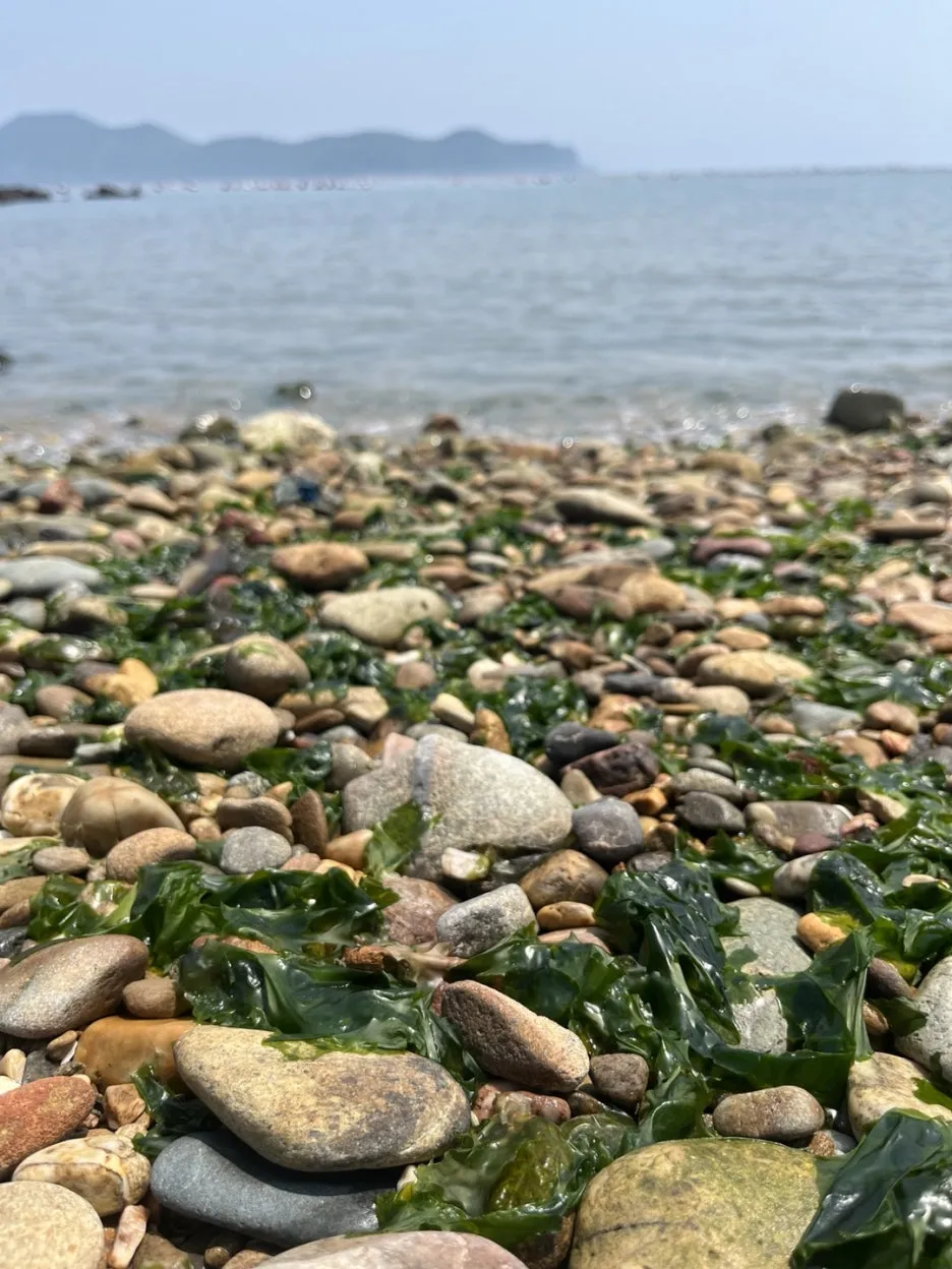 KakaoTalk_20250512_203938840.jpg?type=w1