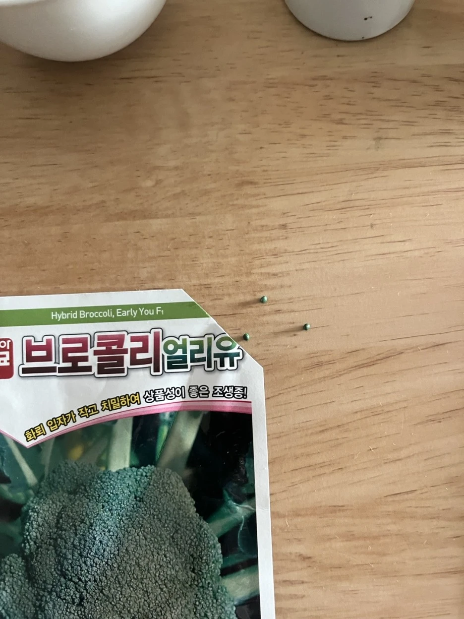 KakaoTalk_20230109_192117292.jpg?type=w1