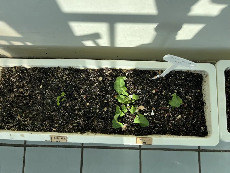 KakaoTalk_20251225_151100538_03.jpg?type=w1