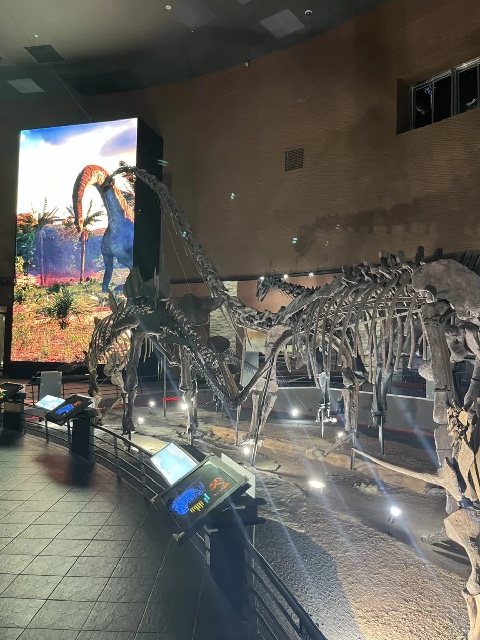 KakaoTalk_20250528_213316058_13.jpg?type=w1