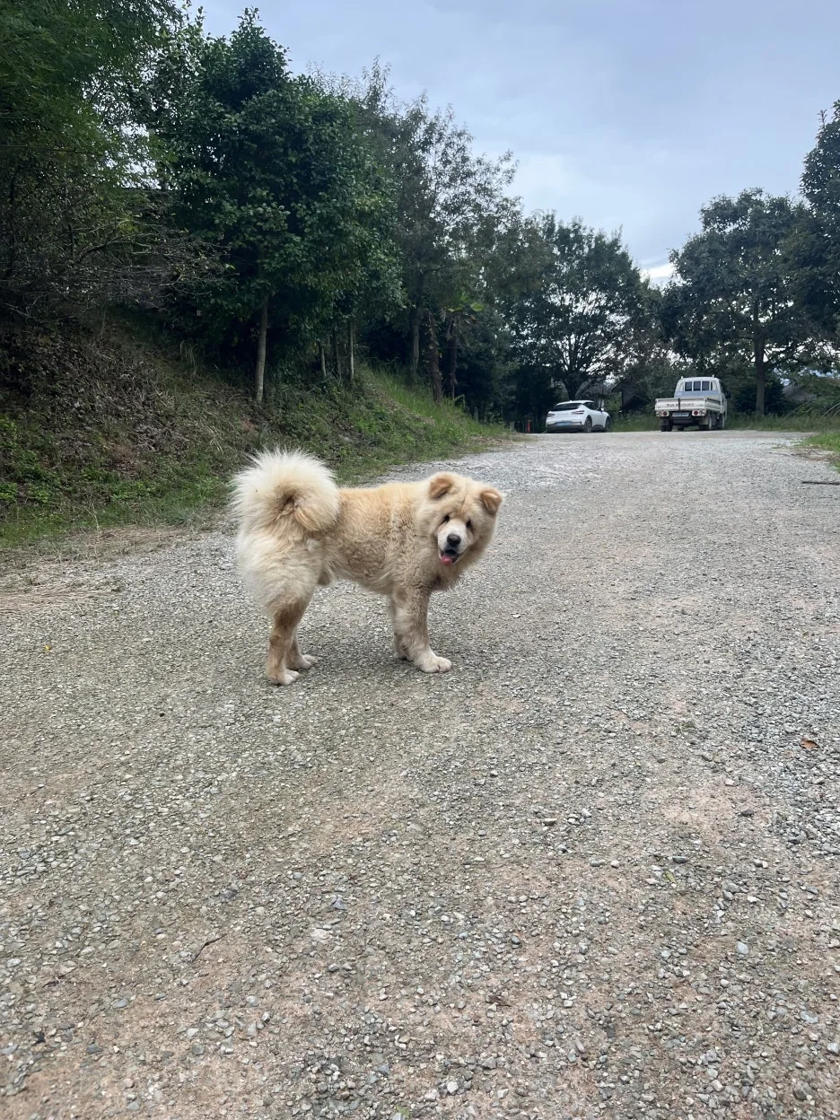 KakaoTalk_20251002_201145776_11.jpg?type=w1