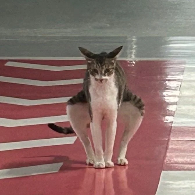 KakaoTalk_20240906_204734895.jpg?type=w1