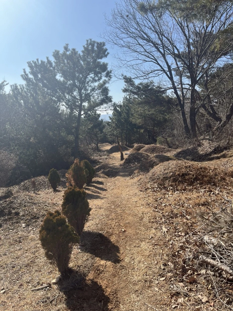 IdO8L_a1R--kQtfpbQo8kckTB_U