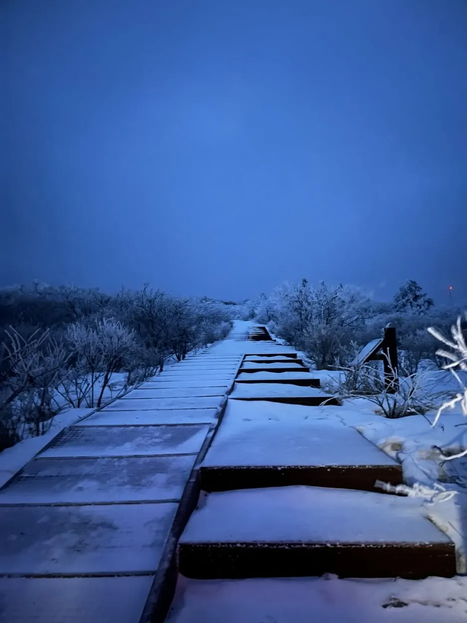 KakaoTalk_20250306_220232044.jpg?type=w1