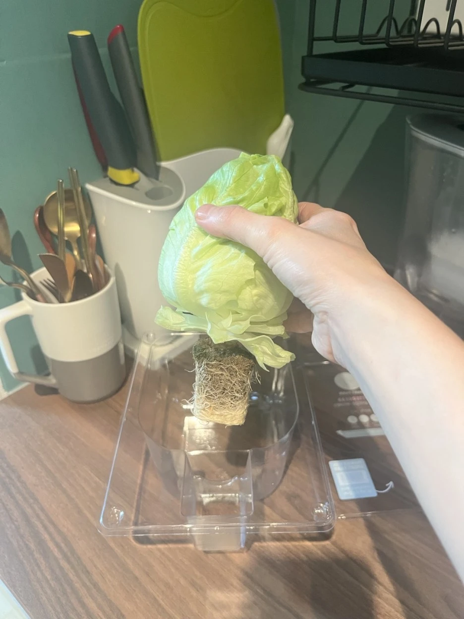 KakaoTalk_20221211_190404989.jpg?type=w1