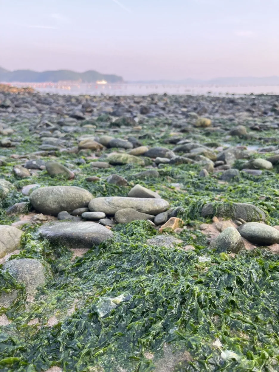 KakaoTalk_20250513_192331592_22.jpg?type=w1