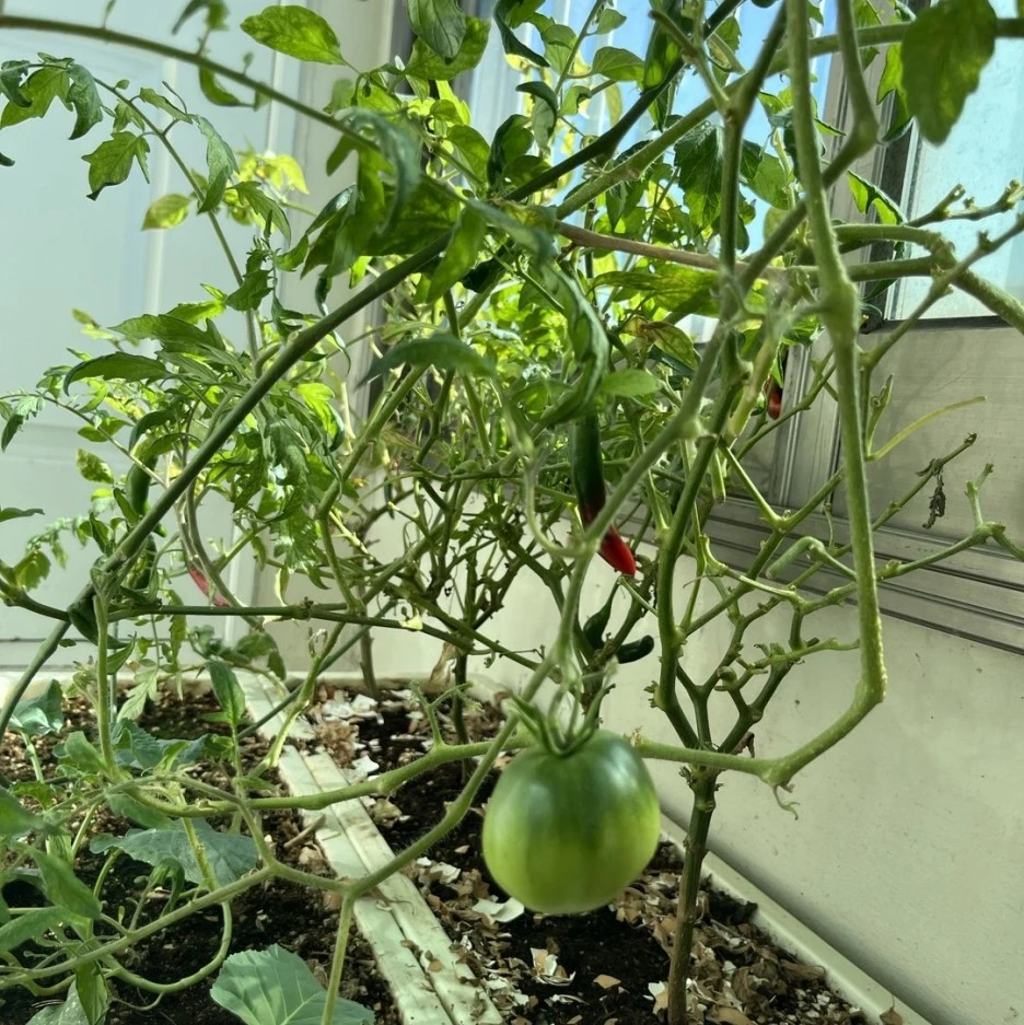 KakaoTalk_20231021_130412466.jpg?type=w1