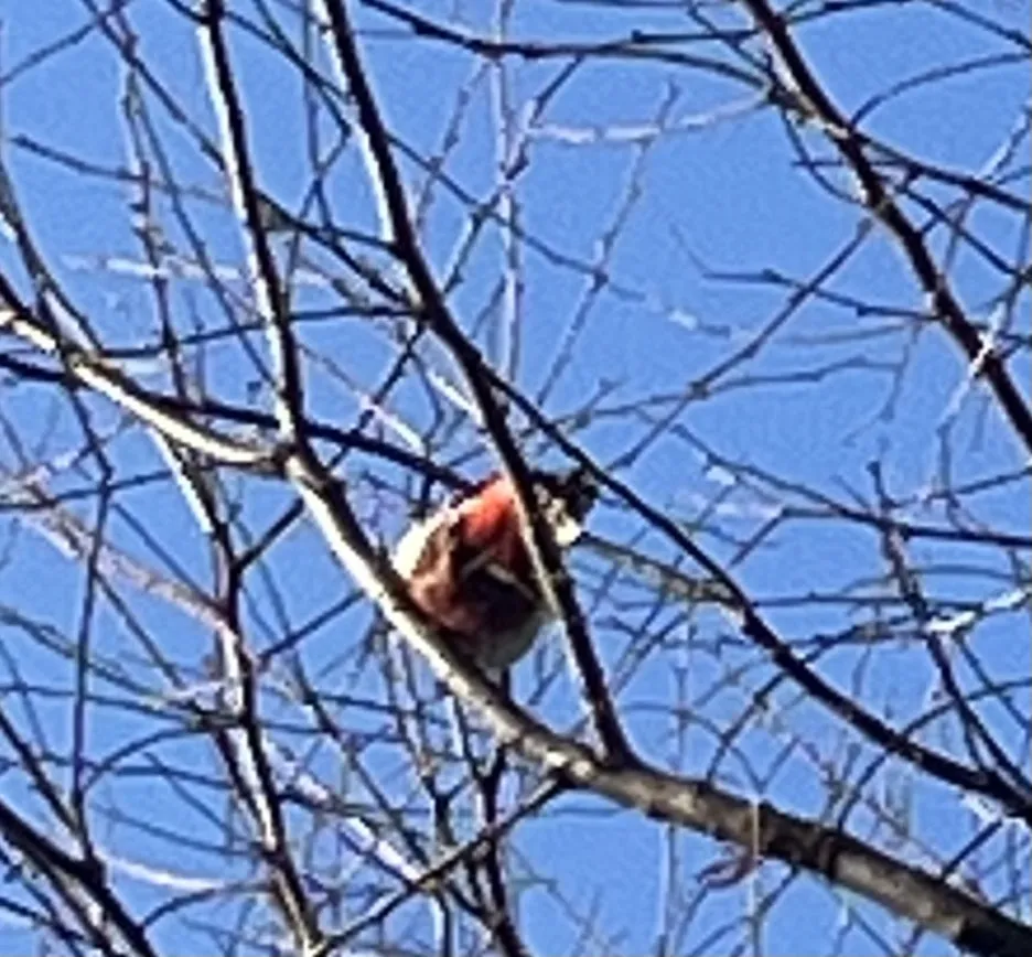 KakaoTalk_20260104_105845565_04.jpg?type=w1