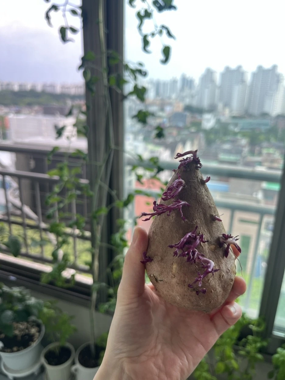 KakaoTalk_20230805_122019764.jpg?type=w1