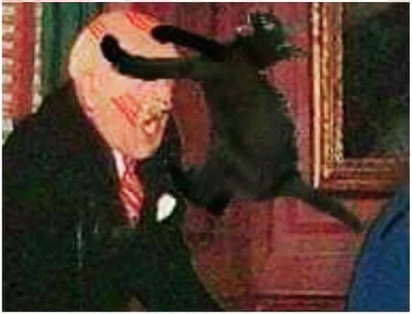 SE-d6c2a30a-5785-4de0-963f-9c176cef6034.jpg?type=w1