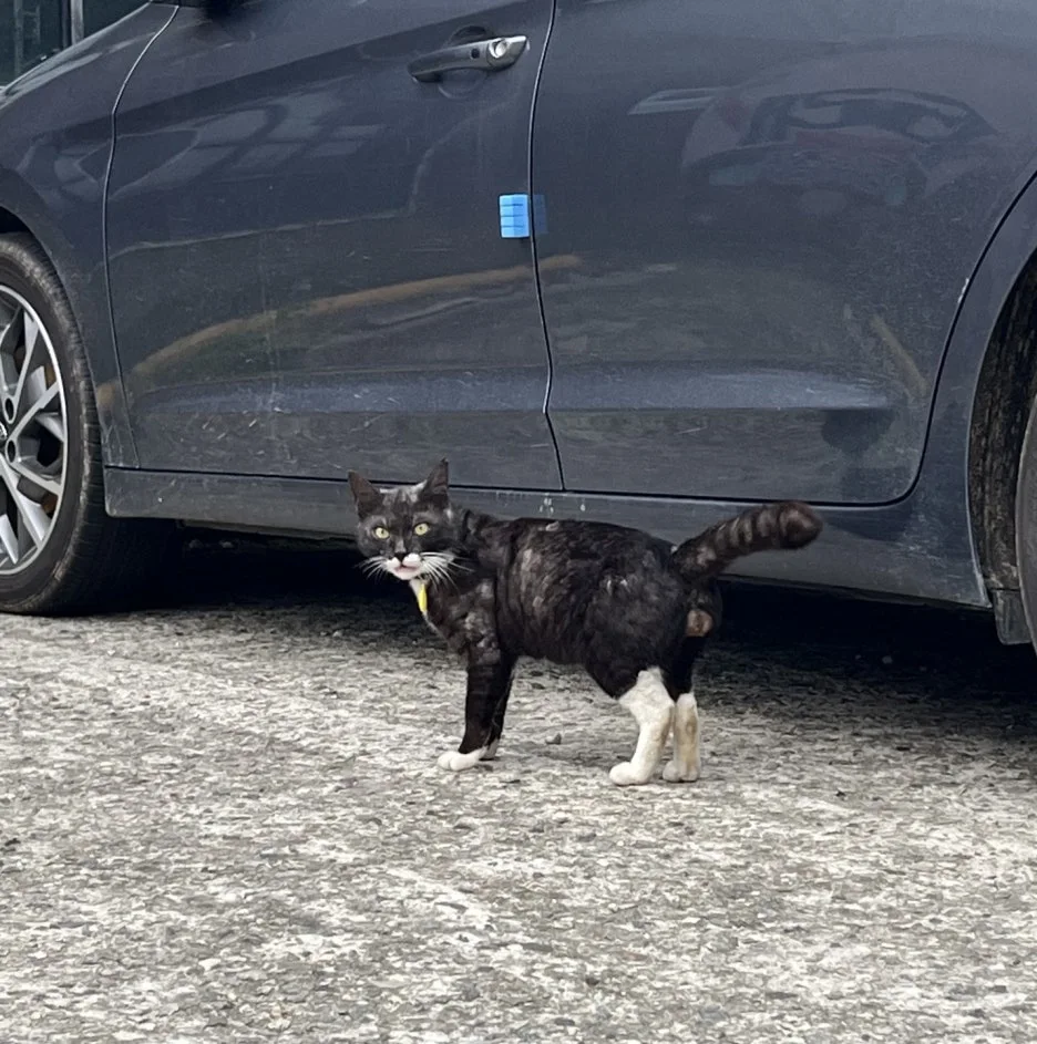 KakaoTalk_20250510_213112905_12.jpg?type=w1