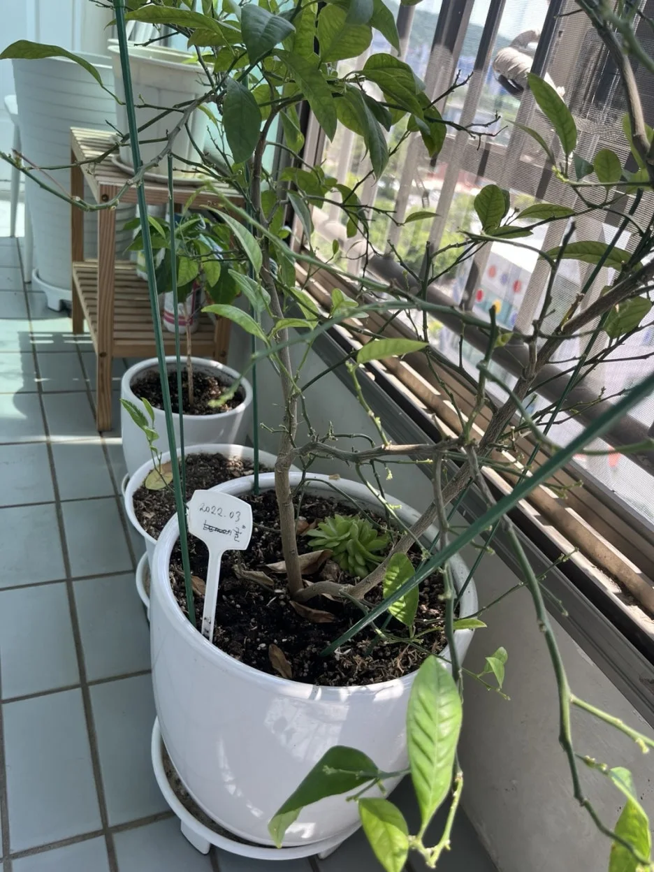 KakaoTalk_20250611_184440877_03.jpg?type=w1