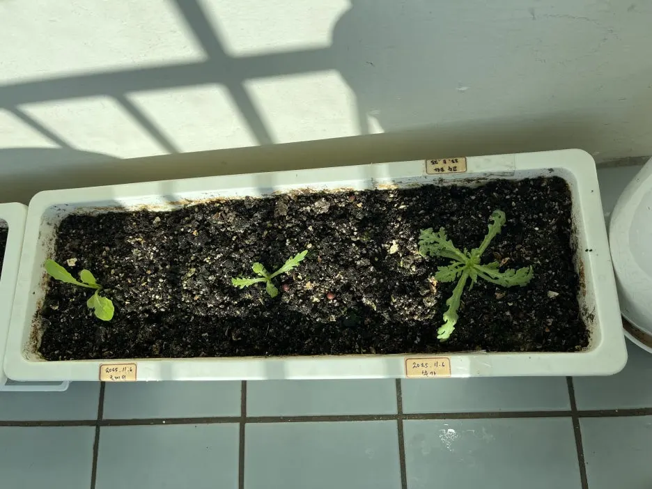 KakaoTalk_20251225_151100538_02.jpg?type=w1