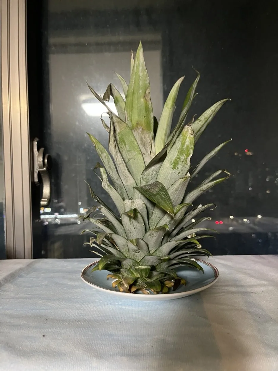 KakaoTalk_20241016_202949438_06.jpg?type=w1