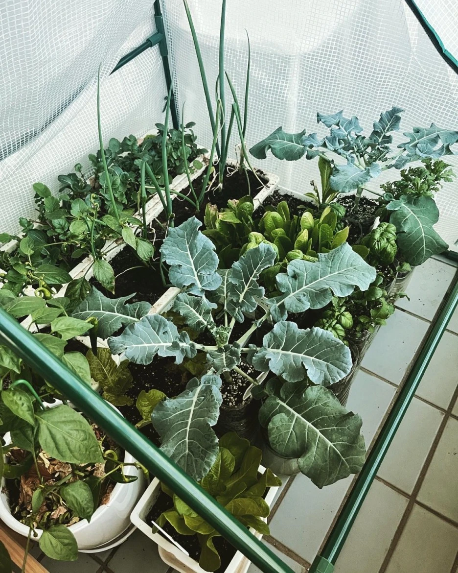 KakaoTalk_20230109_191156191.jpg?type=w1