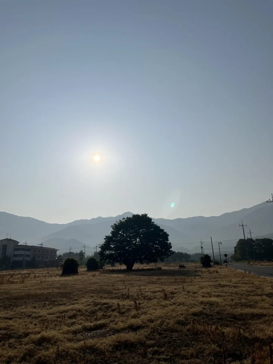 KakaoTalk_20250601_230735165_11.jpg?type=w1