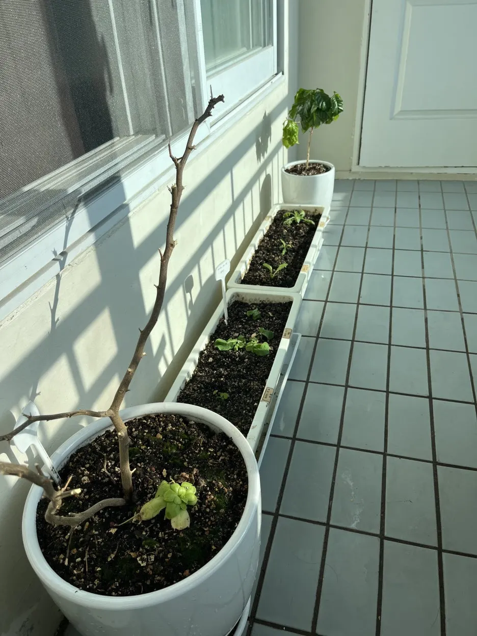 KakaoTalk_20251225_151100538.jpg?type=w1