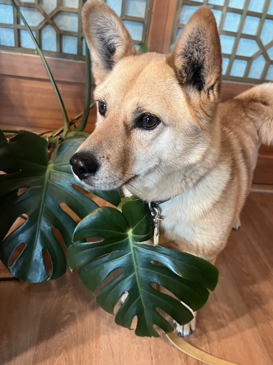 XrAFtY7vC2-sE5s5hVsdxUMs0Rw