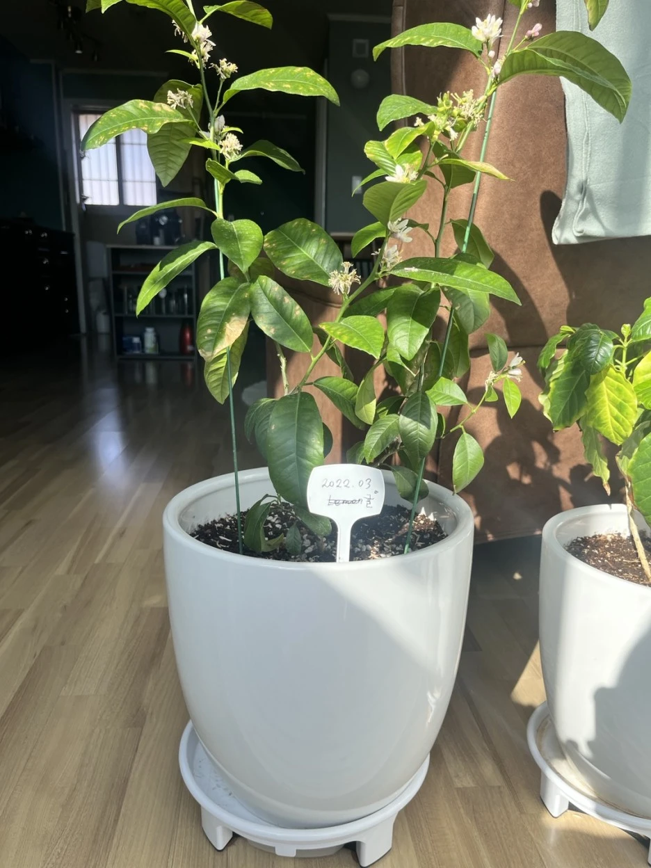 KakaoTalk_20230131_172719869.jpg?type=w1