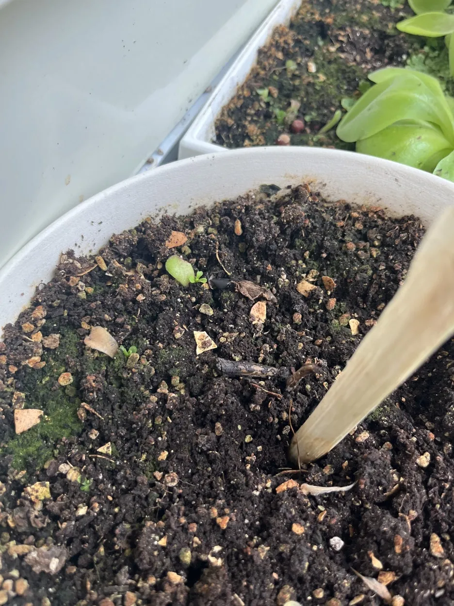 KakaoTalk_20250628_095459608_15.jpg?type=w1