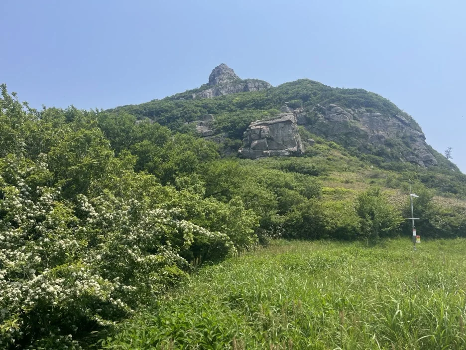 KakaoTalk_20250529_193557894.jpg?type=w1