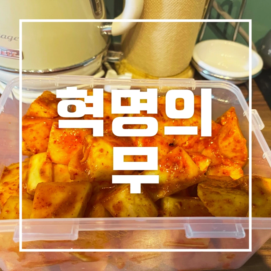 20240114_%ED%98%81%EB%AA%85%EC%9D%98_%EB%AC%B4.png?type=w1