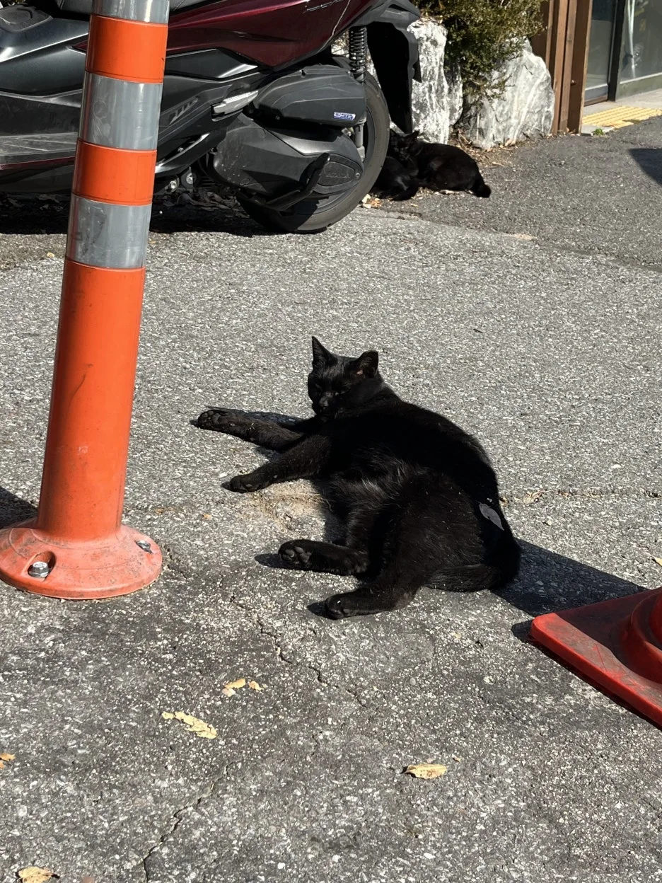 KakaoTalk_20251109_102723231_04.jpg?type=w1