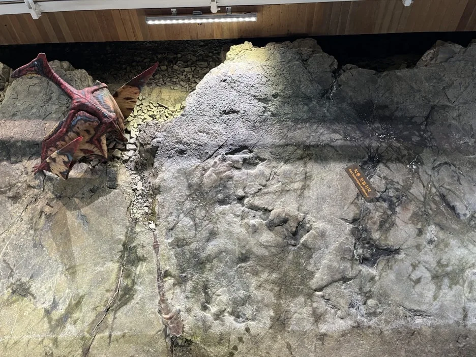 KakaoTalk_20250528_213316058_17.jpg?type=w1