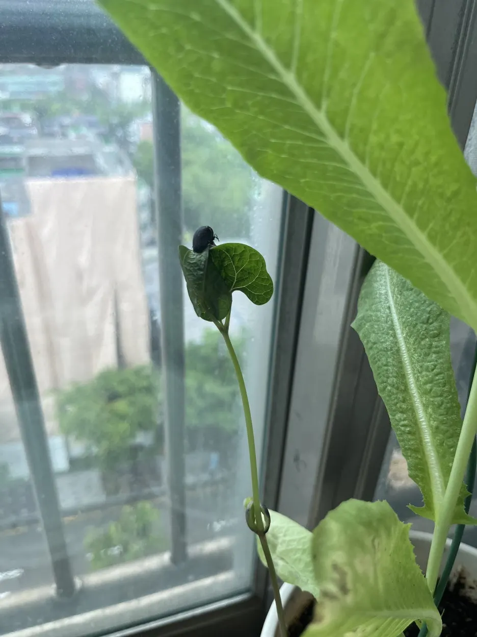 KakaoTalk_20250628_095459608.jpg?type=w1