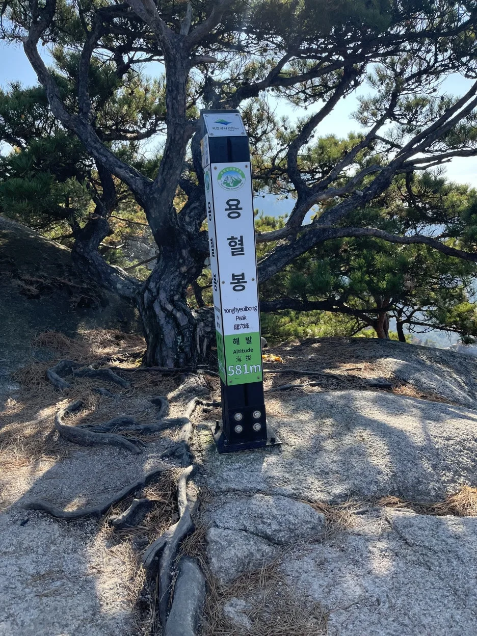 KakaoTalk_20251116_215720415_08.jpg?type=w1